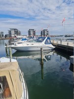 Searay 290 Sundancer (diesel)